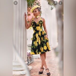 NWT Trashy Diva 1959 Floral Apple Tartlet Dress size 10